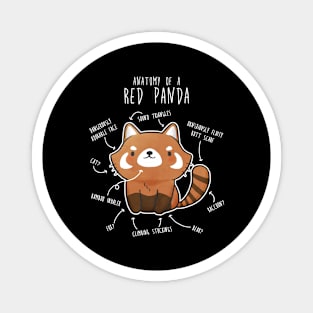 Red Panda Animal Anatomy Magnet